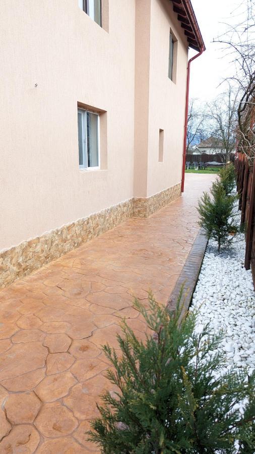 Casa Beatrice Villa Călimăneşti Eksteriør bilde